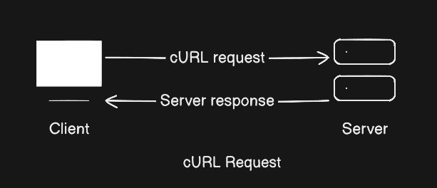 What is cURL? Sending Messages to Servers Without a Browser